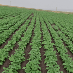 vlcsnap-2025-12-28-21h39m28s969